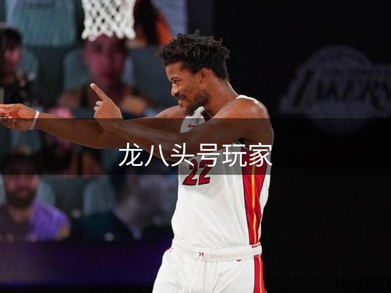 关于龙八头号玩家